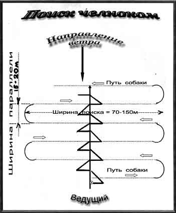 Poisk72