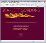 scarlet gordons